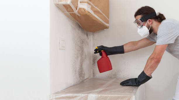 Professional Mold Remediation technician working in Fairfield, IL