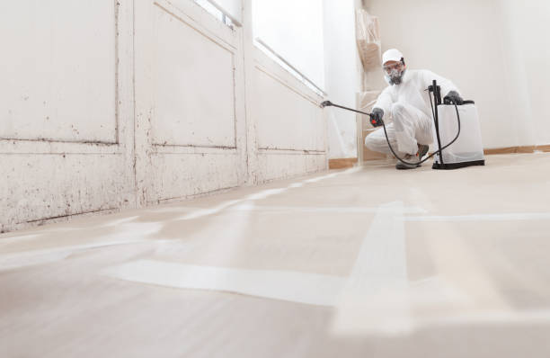 24/7 Emergency Mold Remediation experts in Fairfield, IL