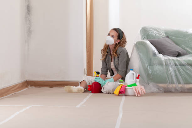 Reliable Mold Remediation contractor in Fairfield, IL by 24 Hour Mold Removal