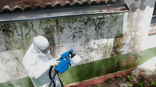 Top rated local Mold Remediation specialists in Fairfield, IL
